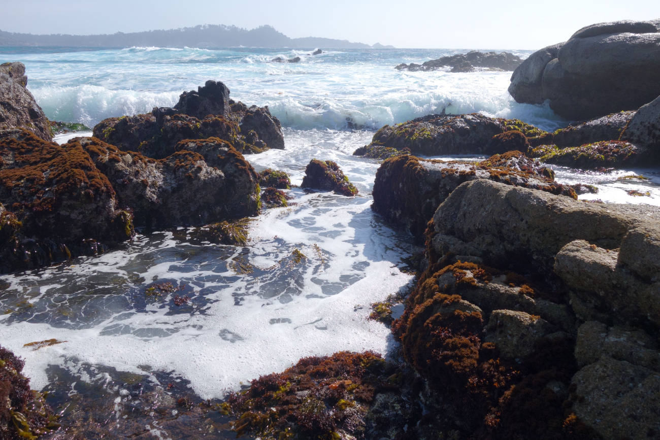 Surf flowing into tide pools at the north end of Carmel Bay
