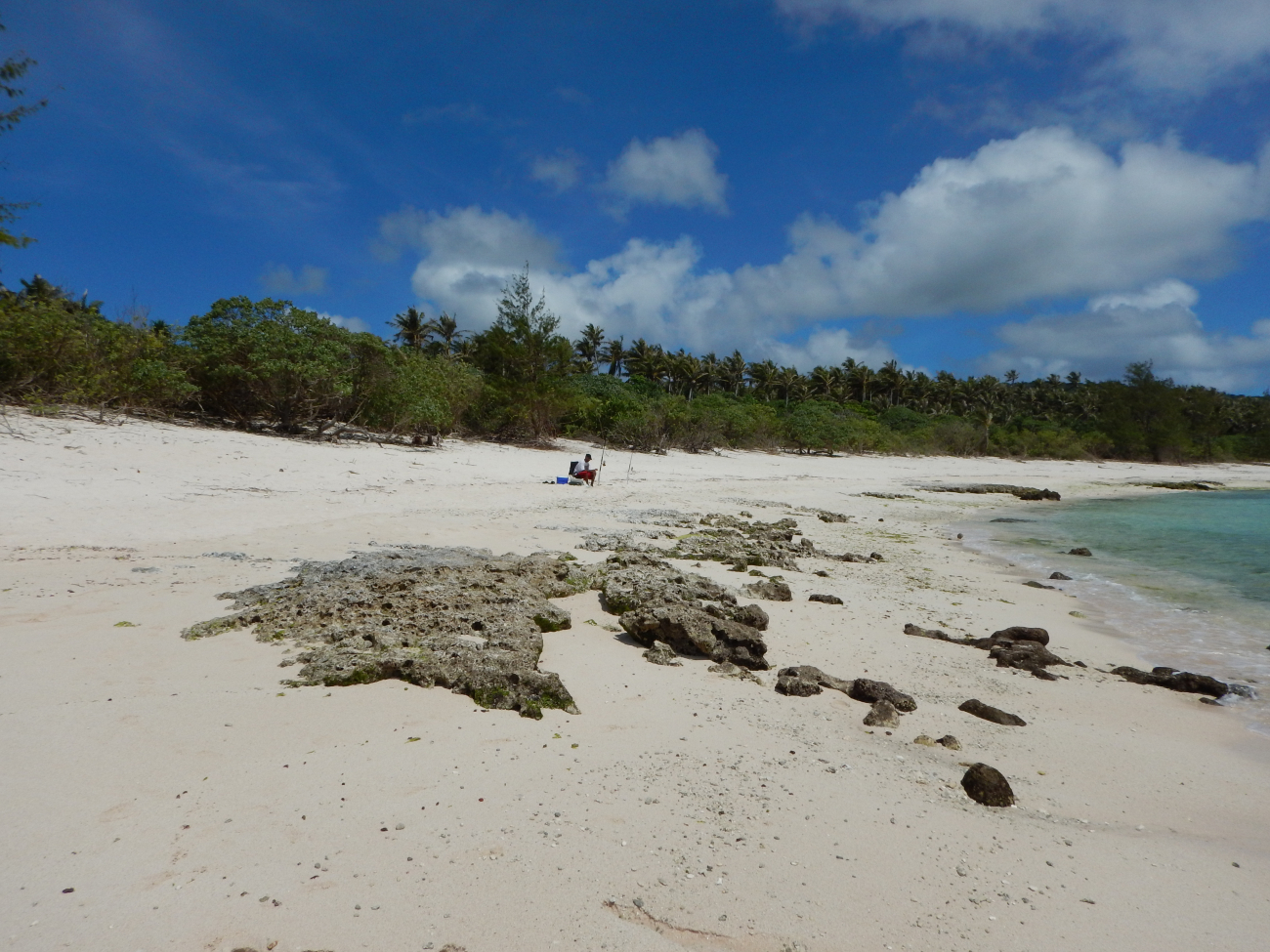 Guam National Wildlife Refuge Pati Point