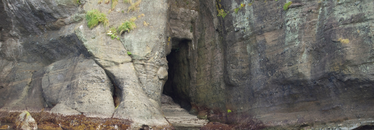 A rectangular sea cave on Tatoosh Island
