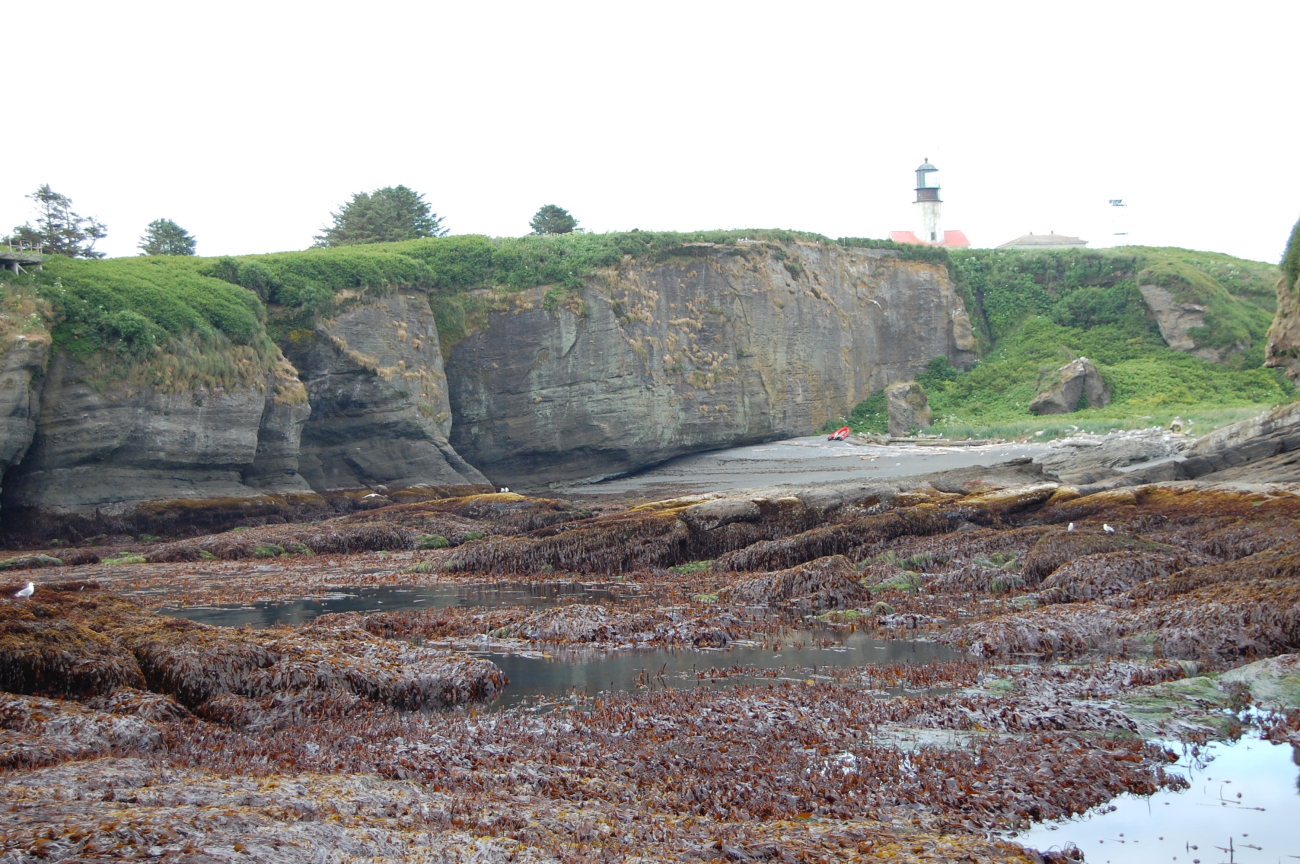 Looking at the lighthouse from the tide pools and surge channels of TatooshIsland