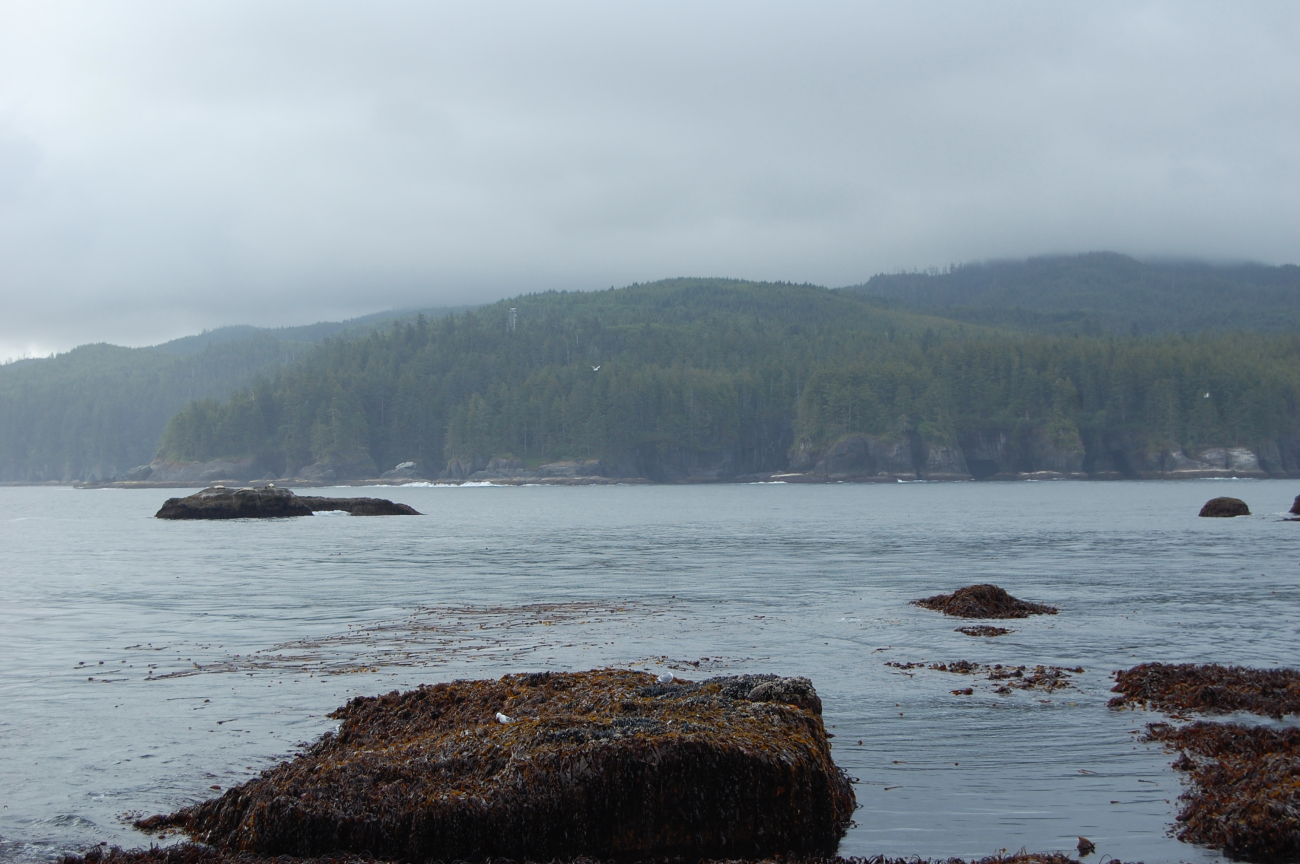 Looking southeast to Cape Flattery from Tatoosh Island at a low tide