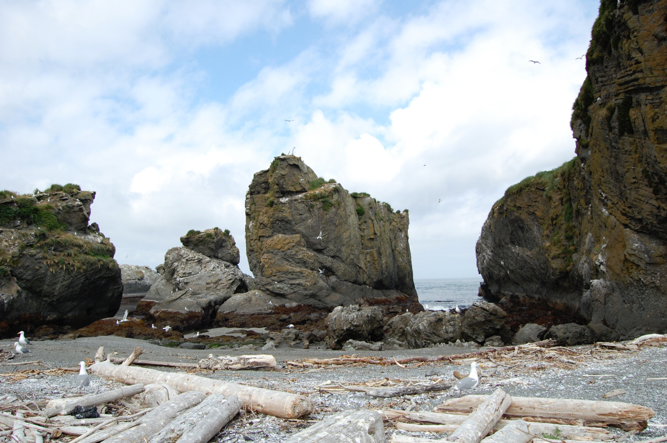 Rock formations and driftwood on the northeast side of Tatoosh Island