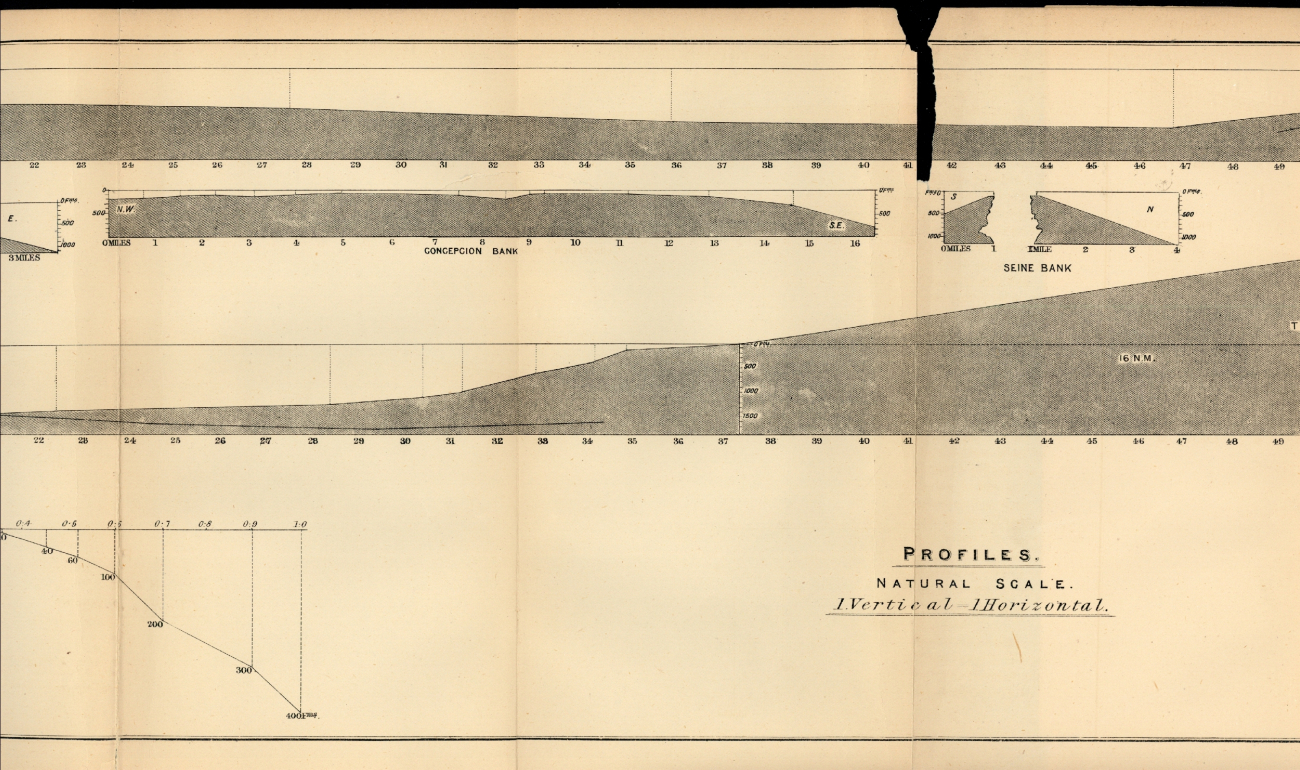 Profiles of Concepcion Bank and Seine Bank by Edward Stallibrass, a Britishtelegraph engineer, as published in 1887 inDeep-Sea Sounding in Connection with Submarine Telegraphy, Journal of theSociety of Telegraph-Engineers and Electricians, Volume XVI, No