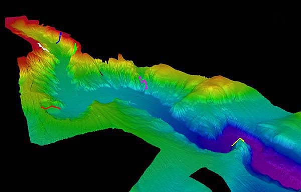 3-D view of Astoria Canyon, west of the Columbia River entrance showinglocations of science transects (appear as colored ribbons on canyon walls)