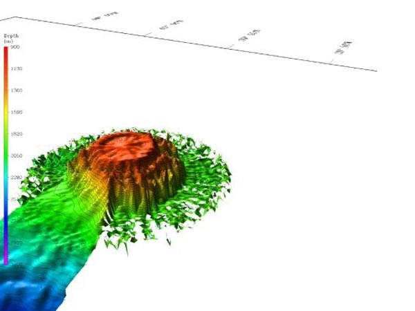3-D view of Bear Seamount