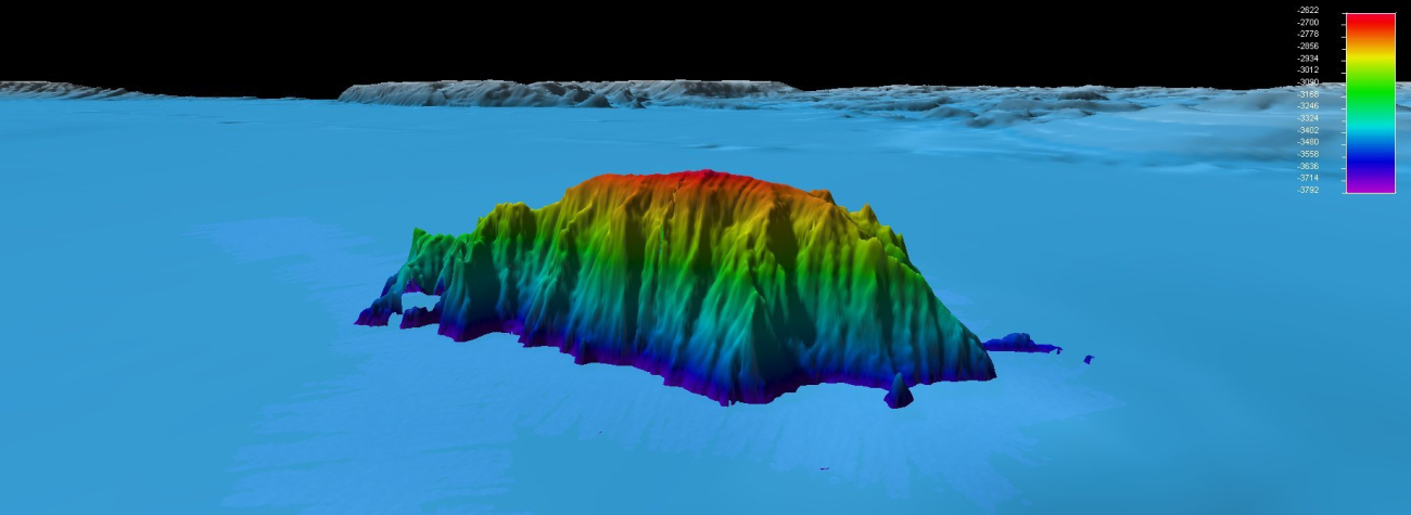 Newly discovered seamount