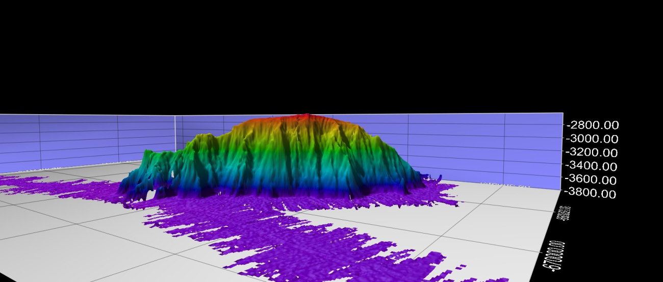 Newly discovered seamount