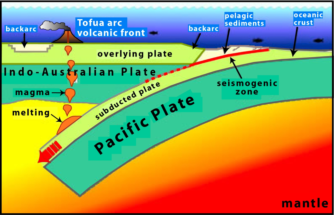 Diagram of the interaction between the Pacific Plate and Indo-Australian Plateshowing Tofua arc volcanic front