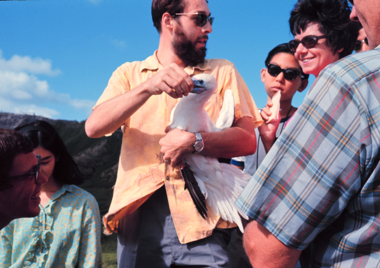 Ornithologist tagging a booby on Bird Island