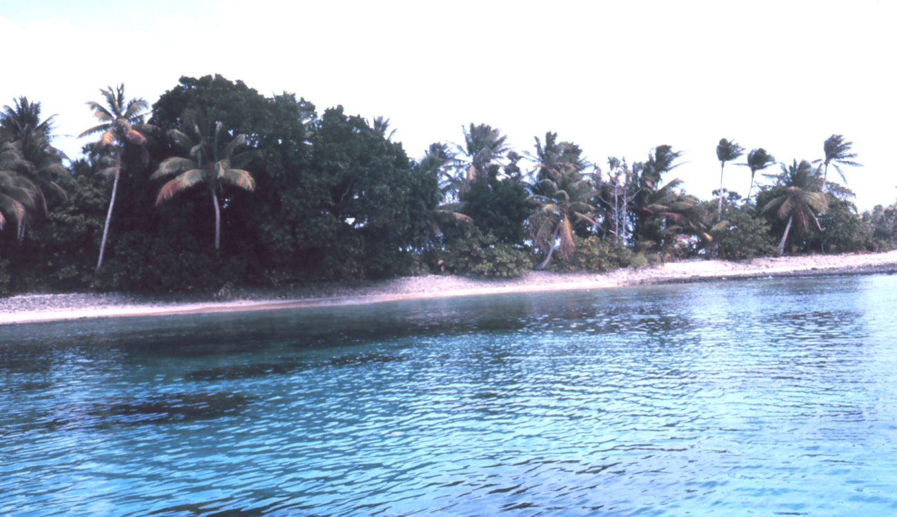 Lagoon side of coral atoll