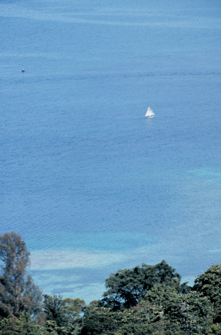A sunfish sailboat on the lagoon
