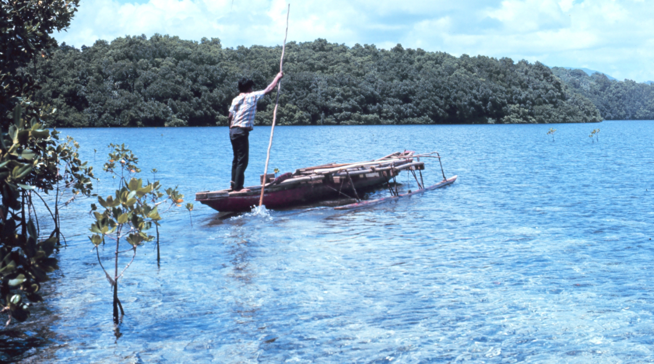 Outrigger canoe being poled in shallow water