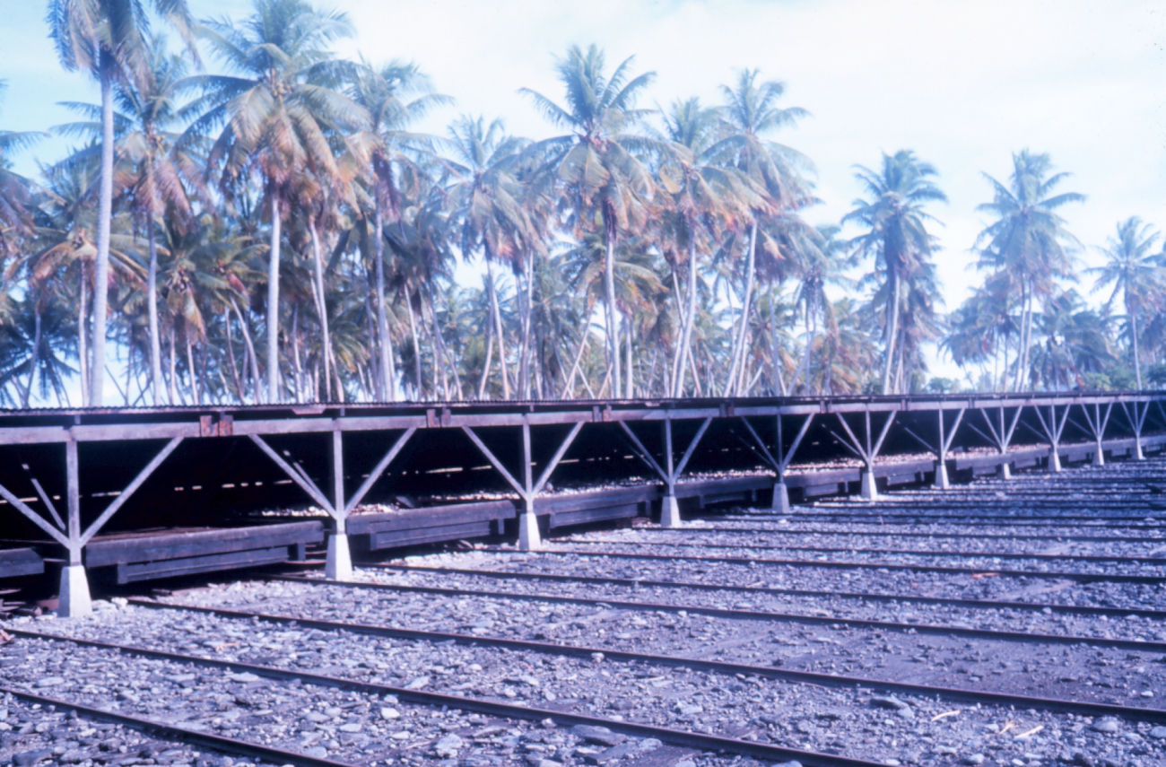 Copra drying sheds