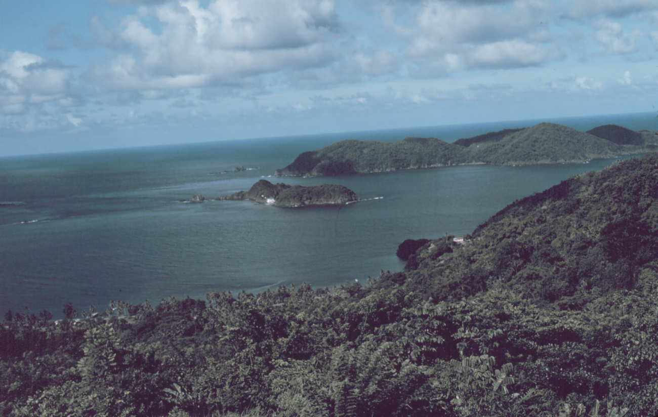 The view of Little Tobago Island from Speyside on the northeast coast