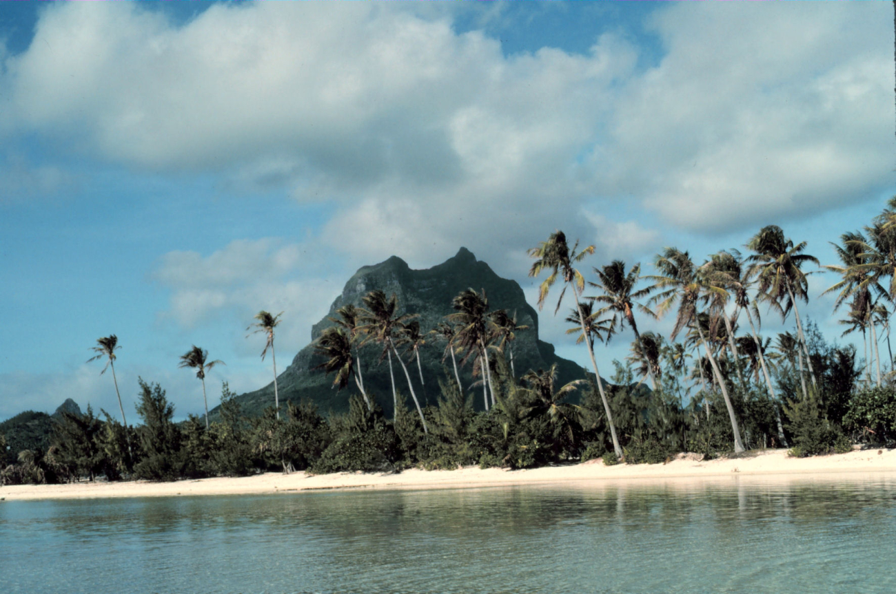 Palm trees and a volcanic plug witha a white sandy beach in the foreground