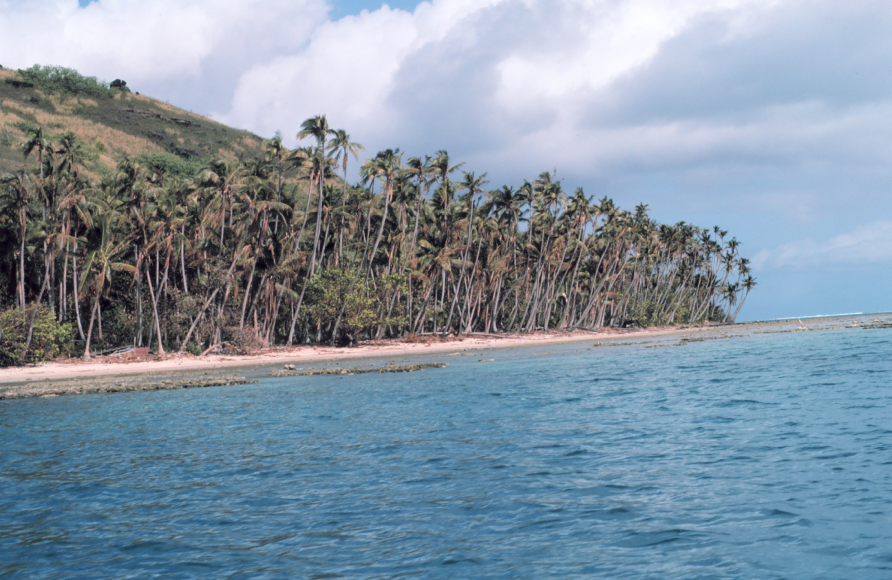 Reef line and palm trees in a secluded bay