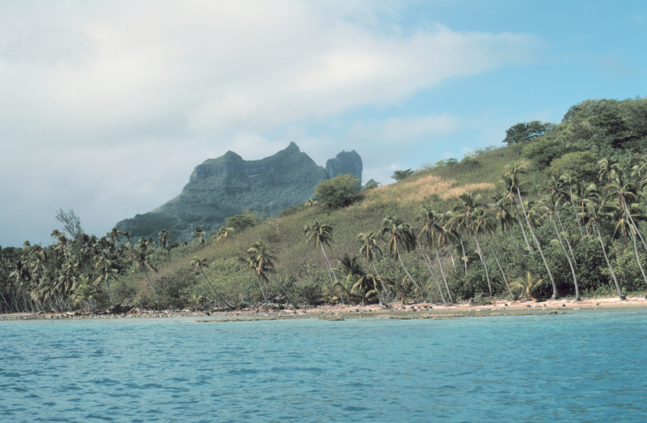 Reef line, palm trees, and  volcanic peaks