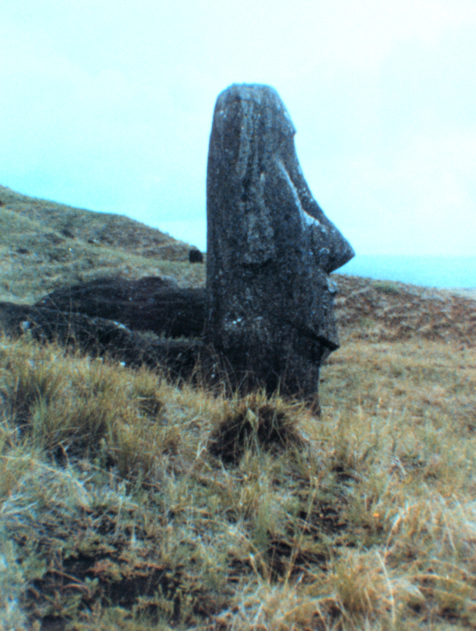 The stone quarry at Easter Island