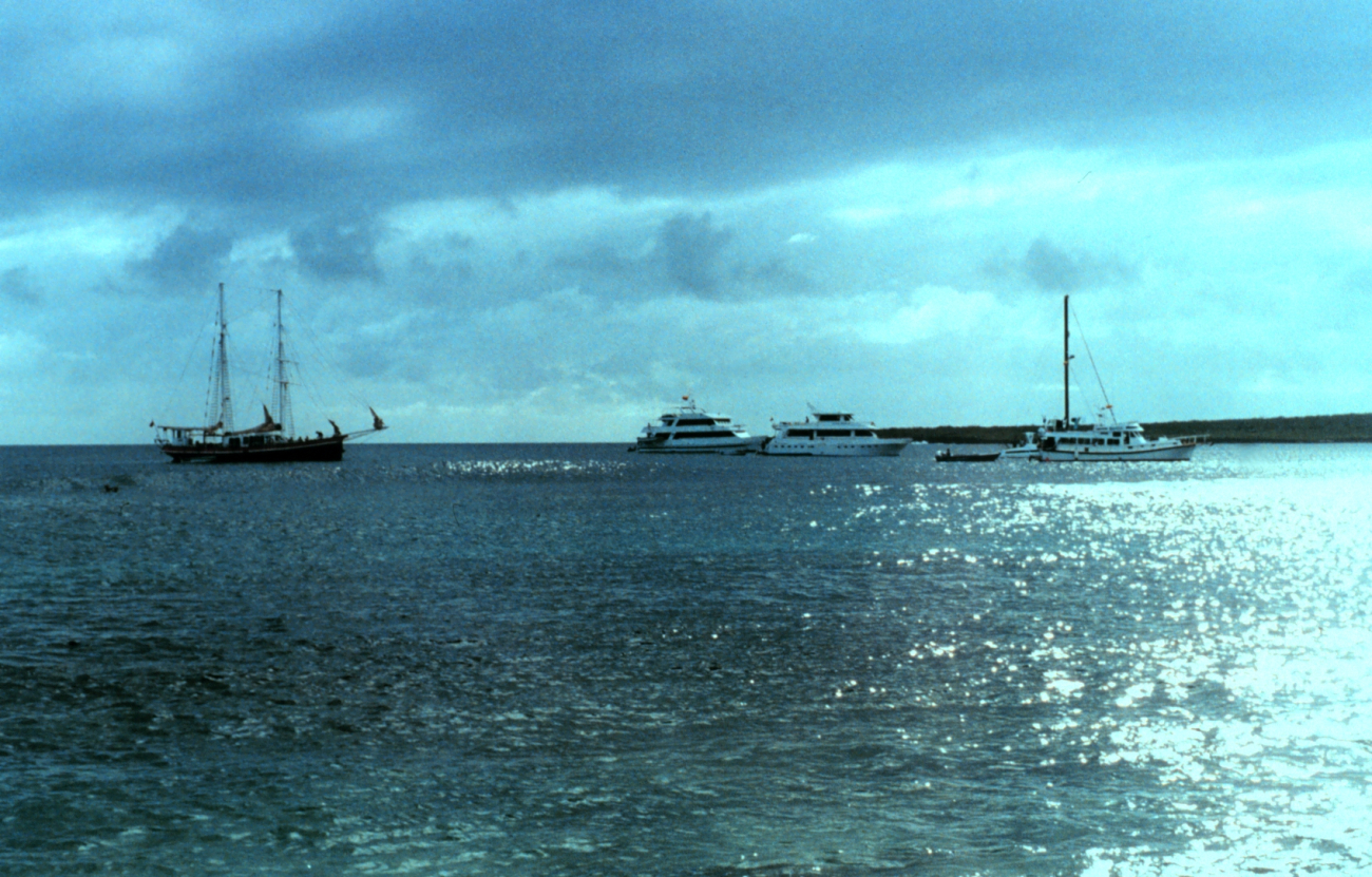 Charter boats anchored offshore