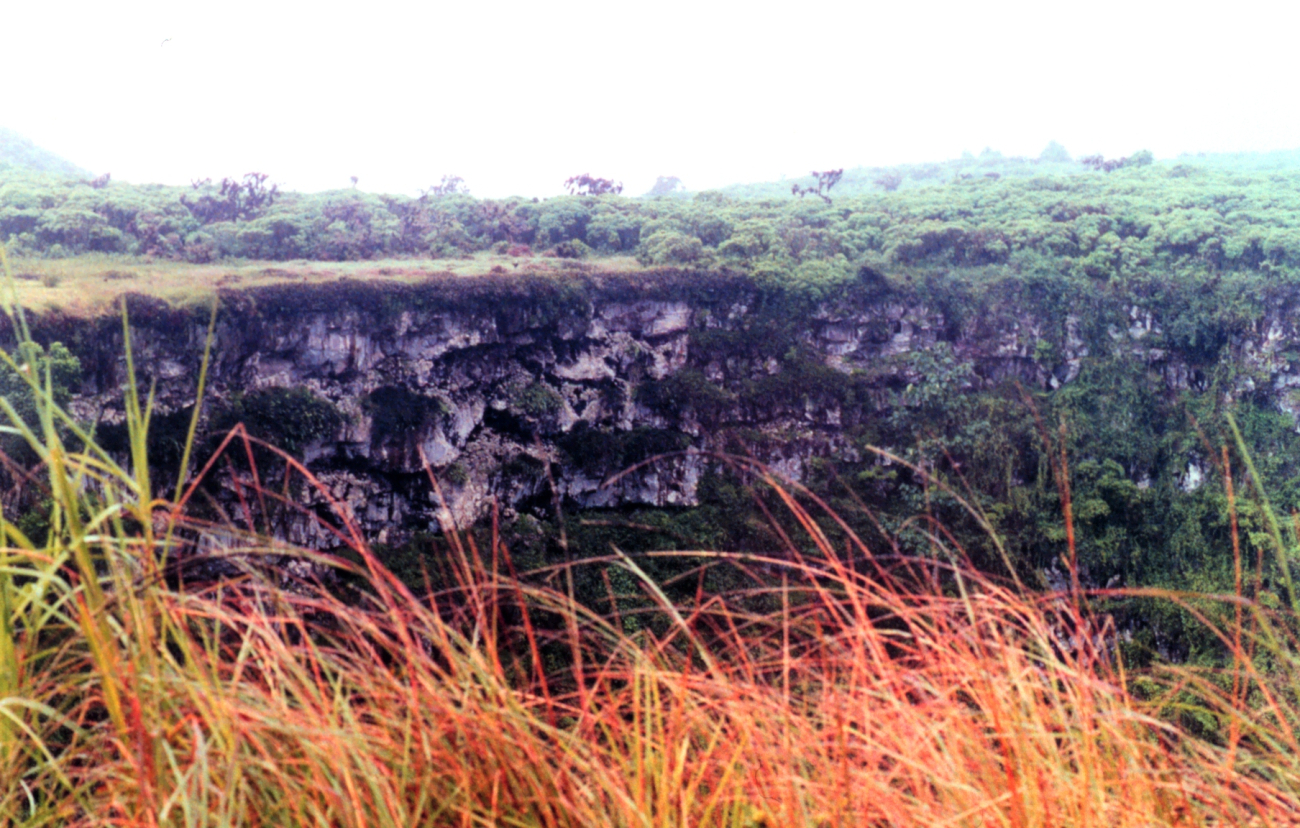 Lava cliffs and greenery adorn the some of the higher areas of the GalapagosIslands