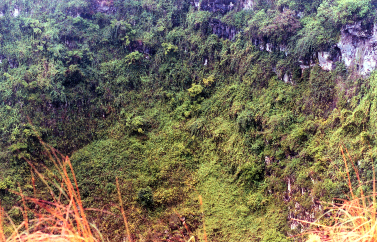 Lava cliffs and greenery adorn the some of the higher areas of the GalapagosIslands