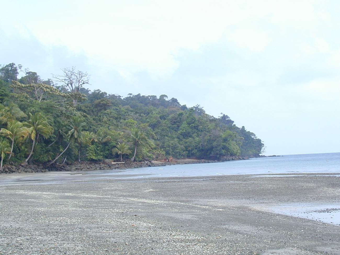 The beach at Isla Gorgona