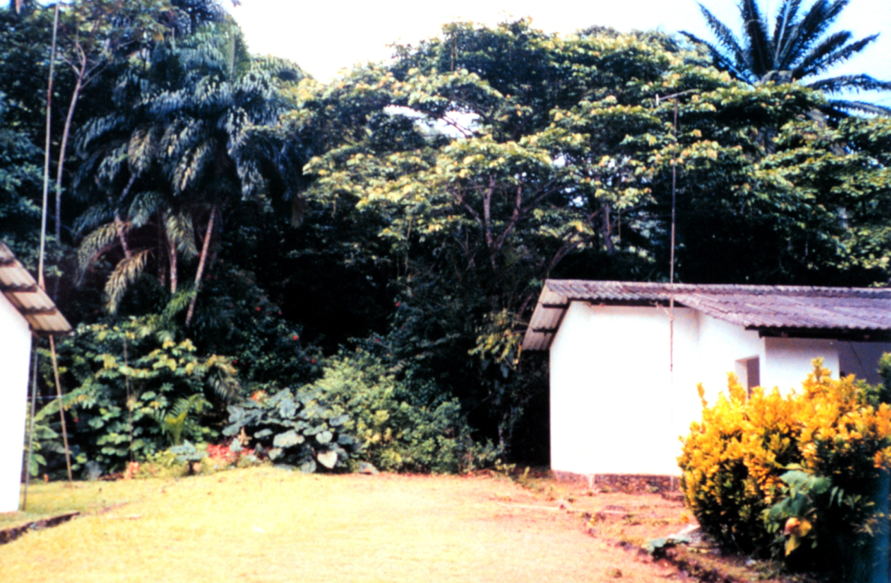 The jungle right next to the caretakers quarters on Isla Gorgona
