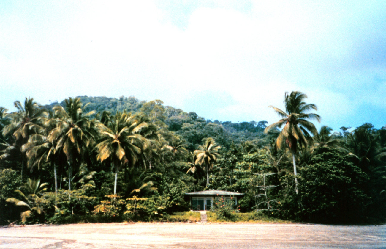 View of the jungle at Isla Gorgona