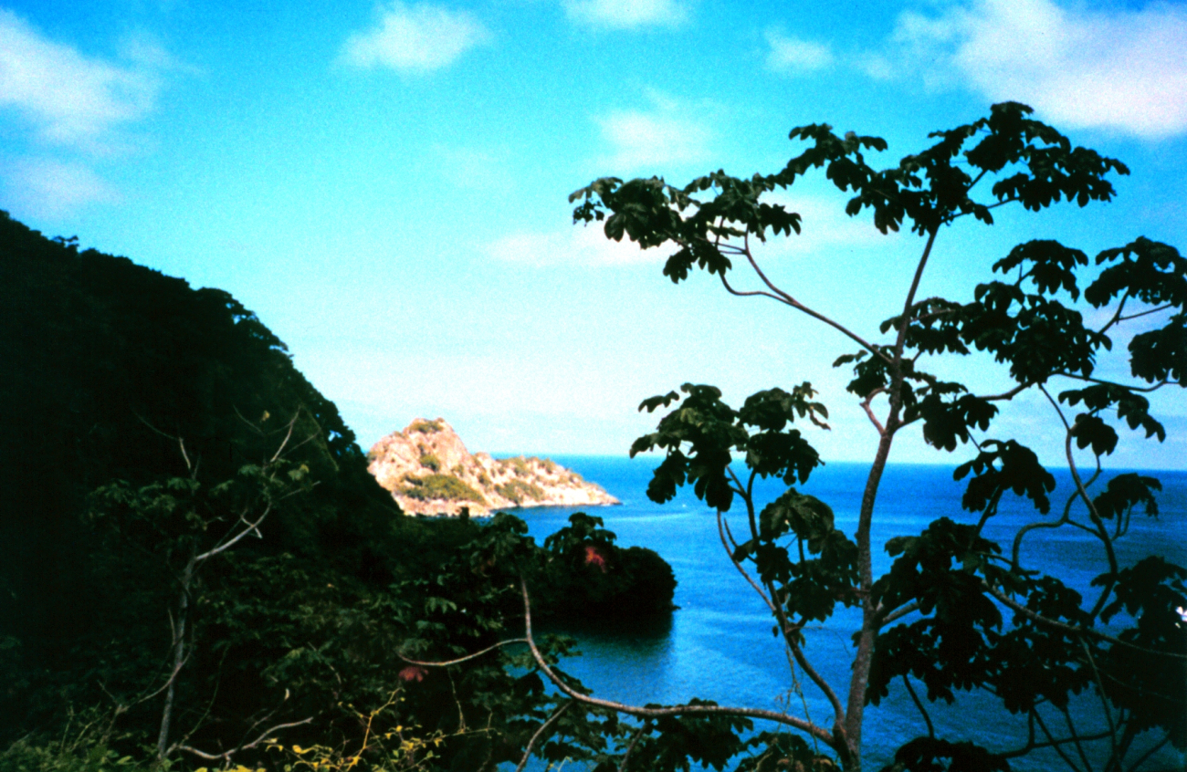 A cove and rocky headland seen from a hill on Isla Cocos