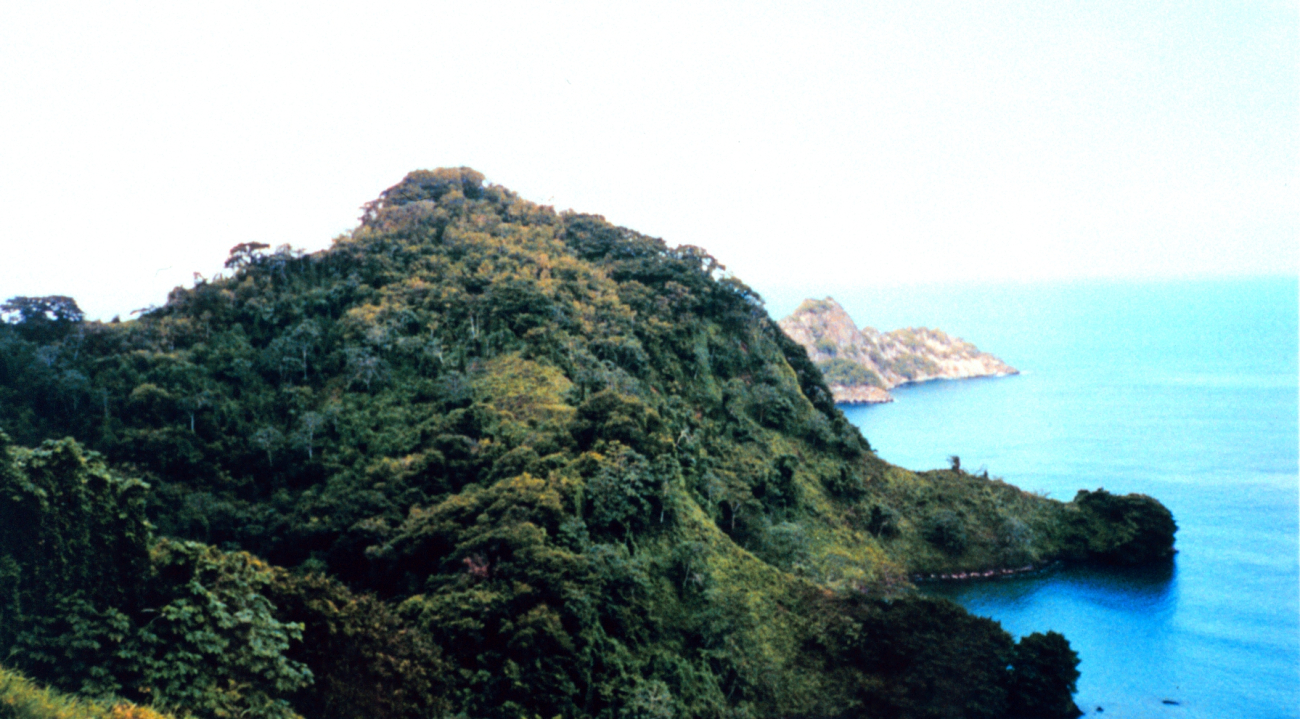 A view from the hills of Isla Cocos