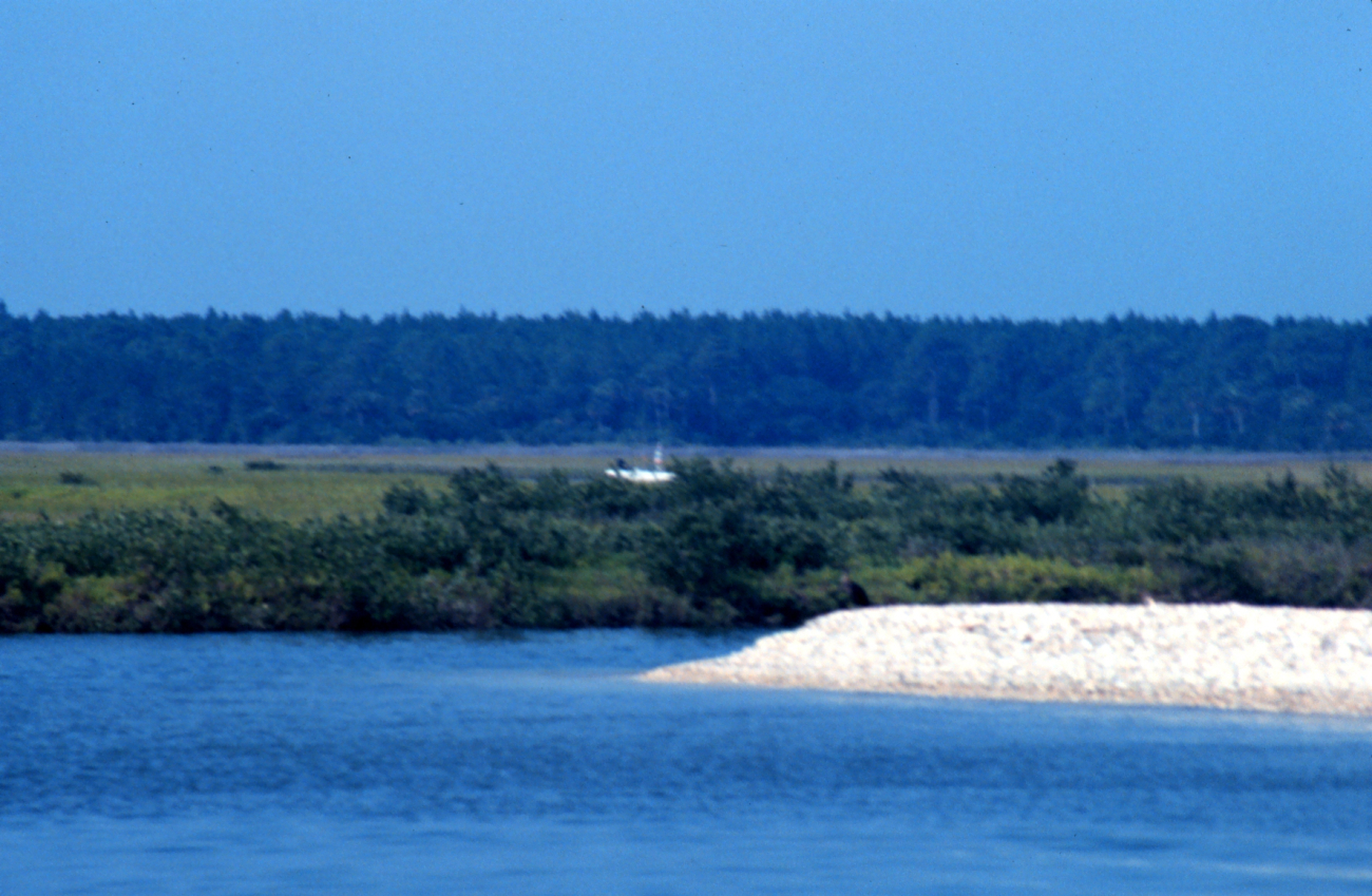 Guana Tolomato Matanzas National Estuarine Research Reserve