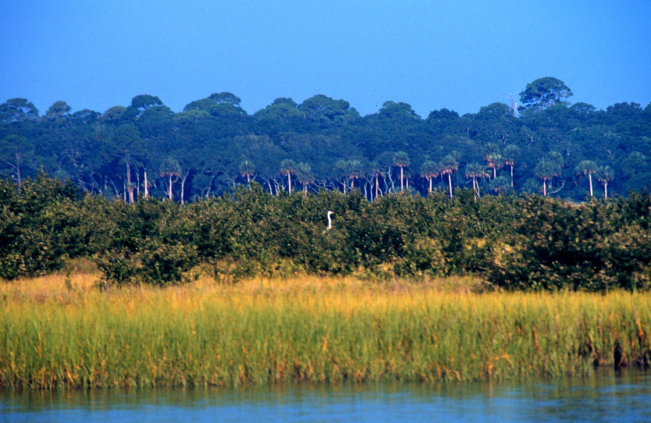 Guana Tolomato Matanzas National Estuarine Research Reserve