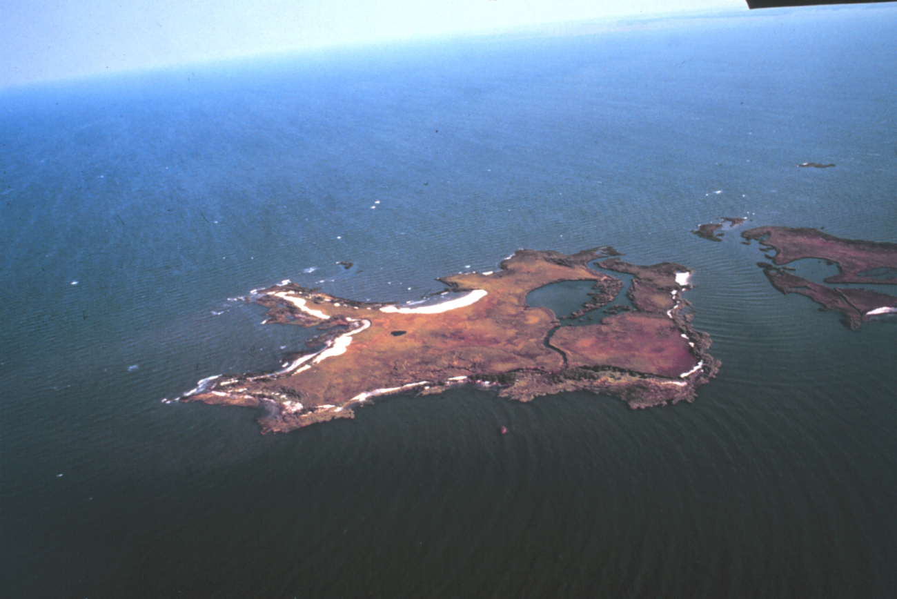 Chesapeake Bay Virginia National Estuarine Research Reserve