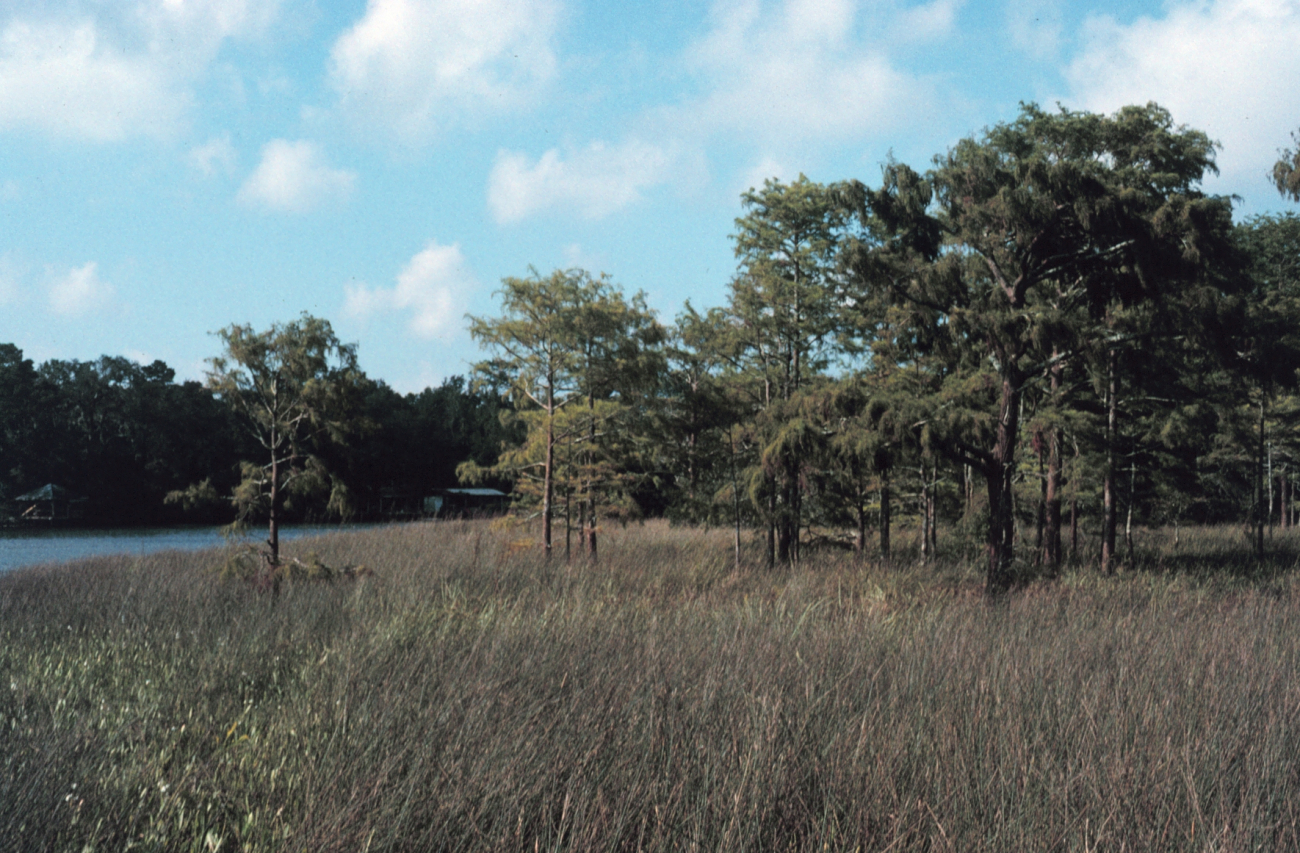 Weeks Bay National Estuarine Research Reserve