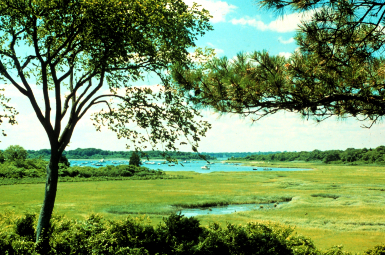 Narragansett Bay National Estuarine Research ReserveA view of Coggeshall Marsh which is located at the north end of Prudence Island