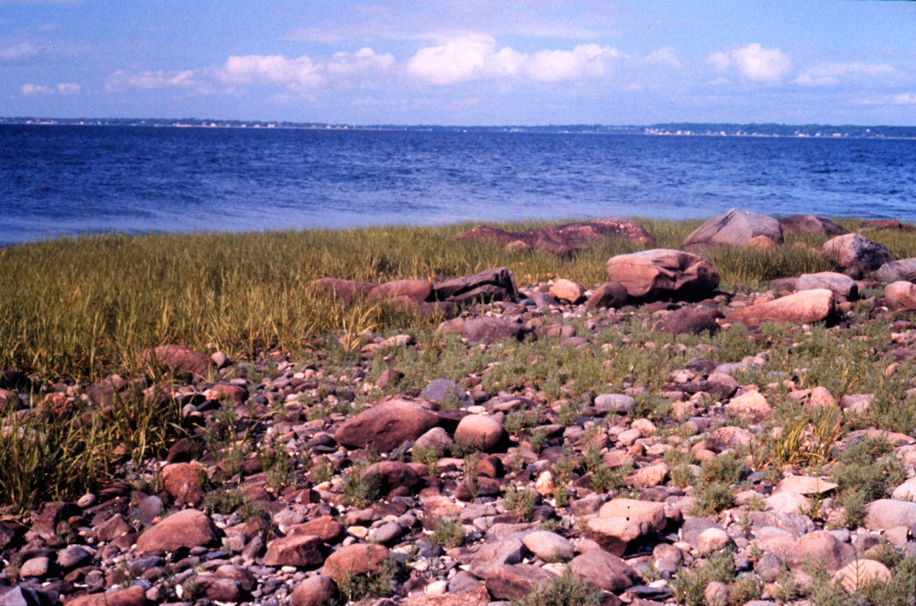 Narragansett Bay National Estuarine Research ReserveCobble beach community at Providence Point