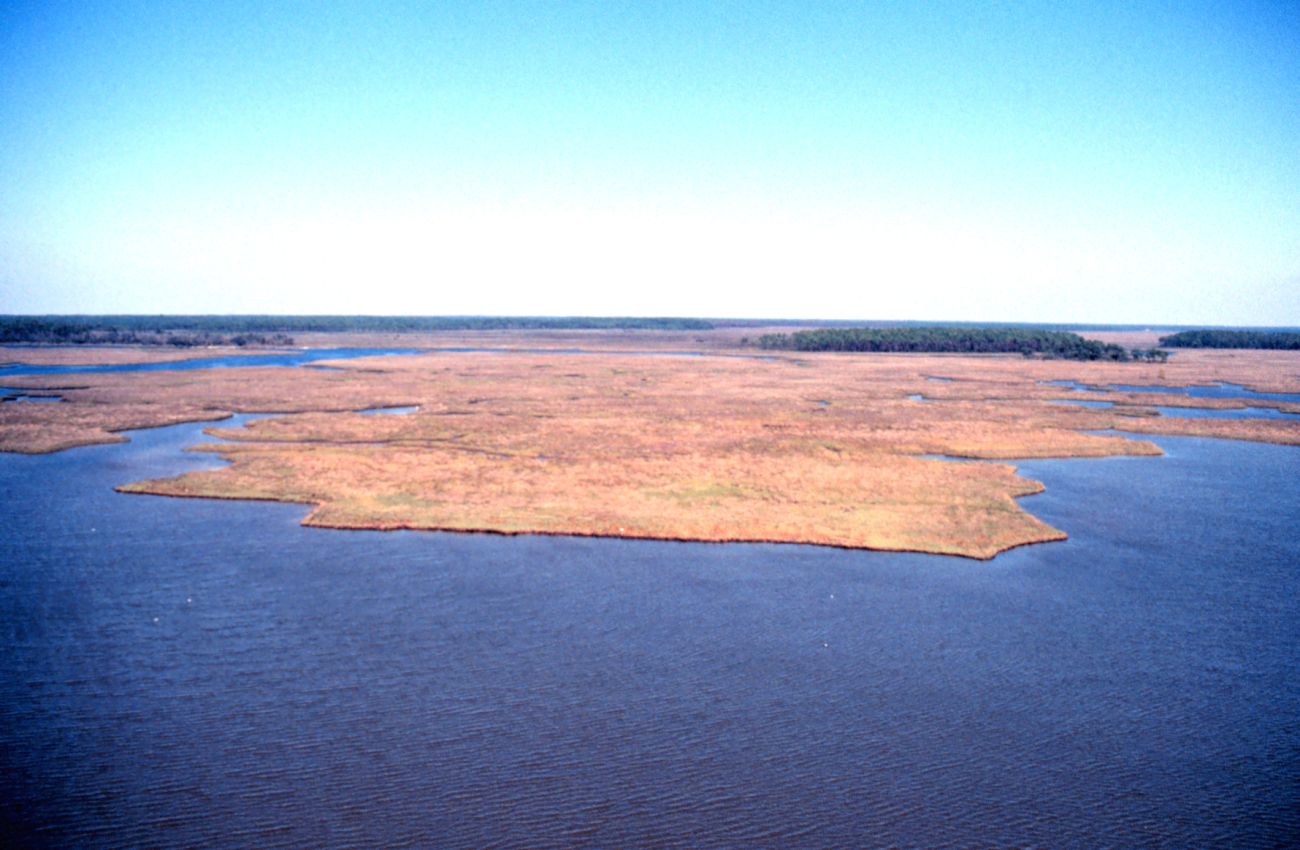 Grand Bay National Estuarine Research Reserve