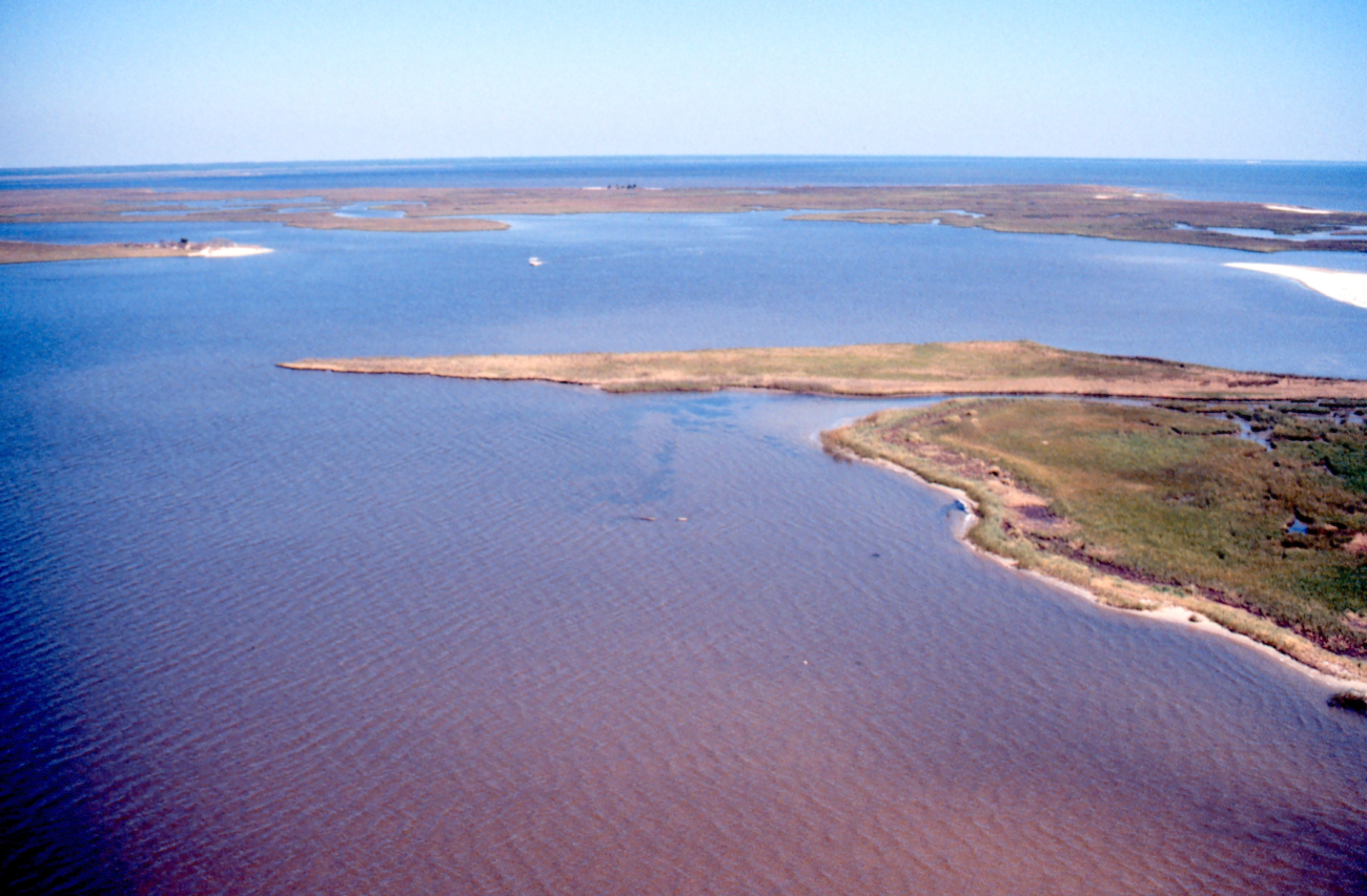 Grand Bay National Estuarine Research Reserve