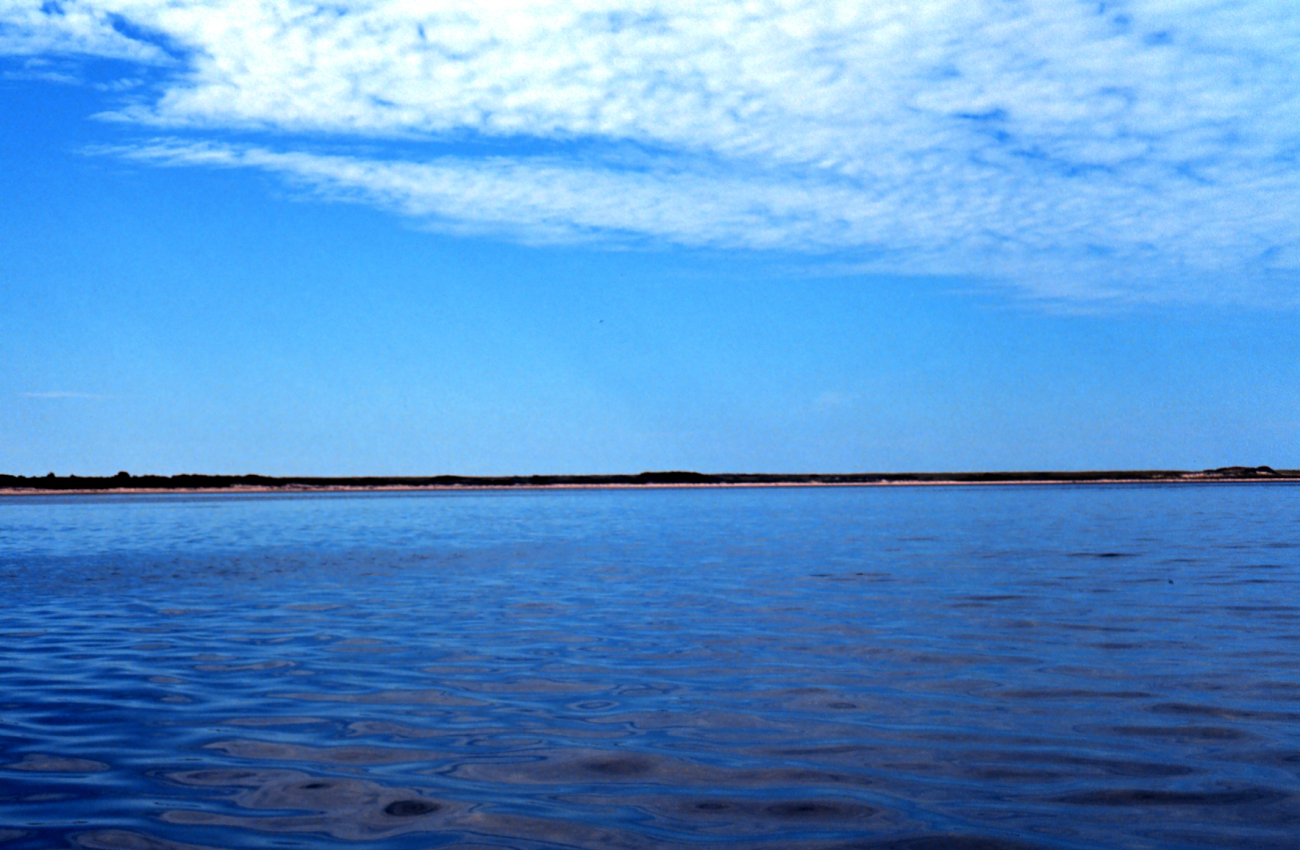 Waquoit Bay National Estuarine Research Reserve