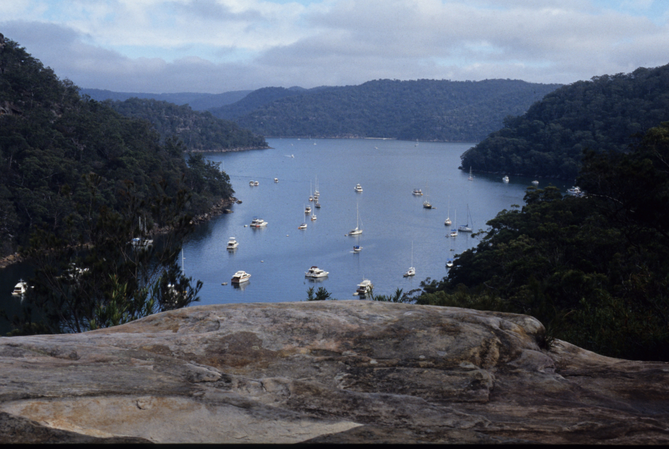 Scene along the Hawkesbury River in Ku-ring-gai Chase National Park