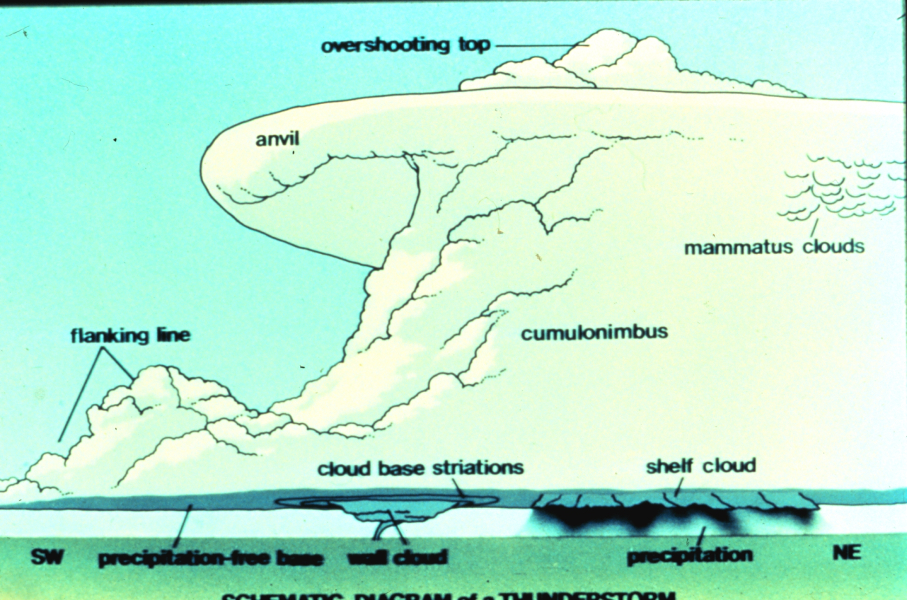 Schematic of the components of a potentially tornadogenic thunderstorm