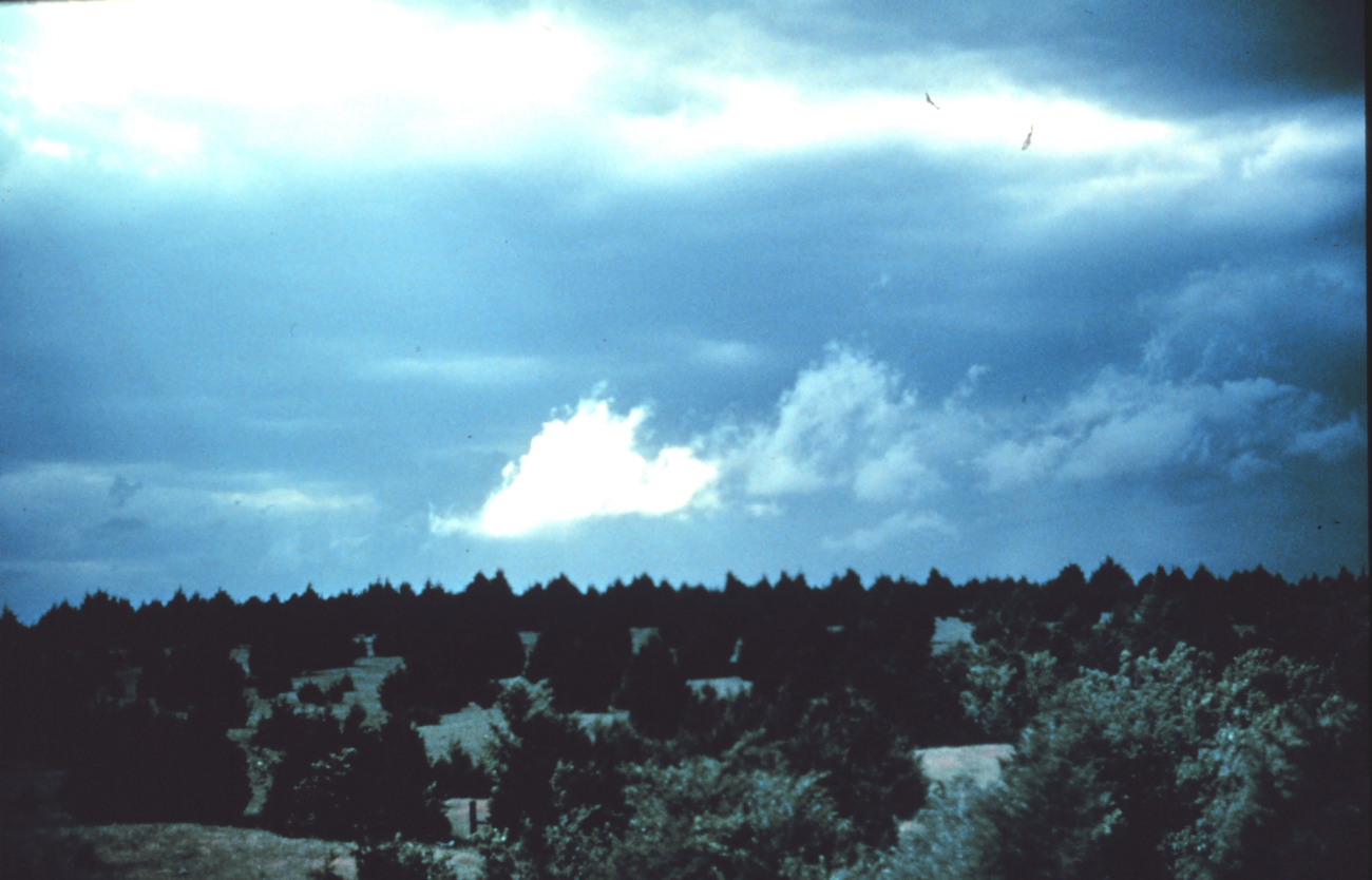 Storm clouds over pinon pines