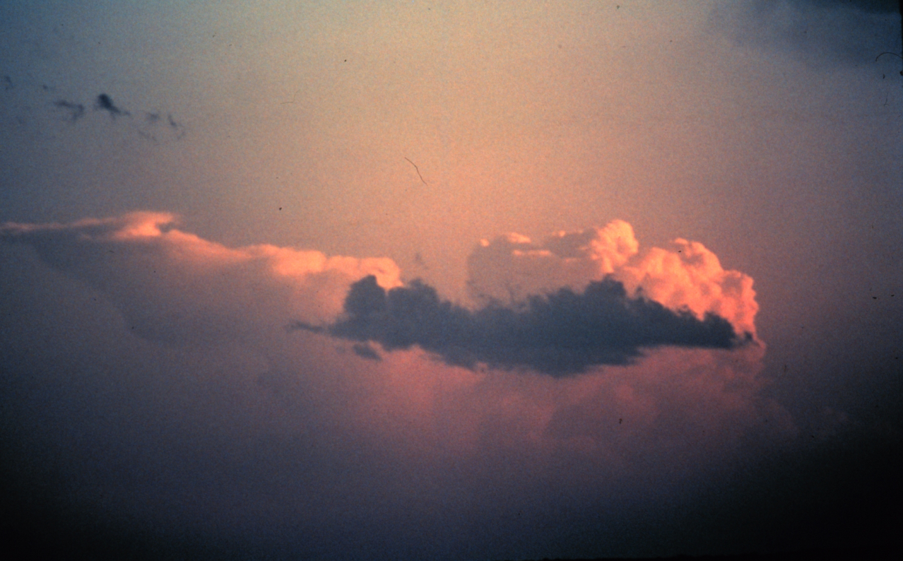 Cumulonimbus (Thunderstorm) forming in background