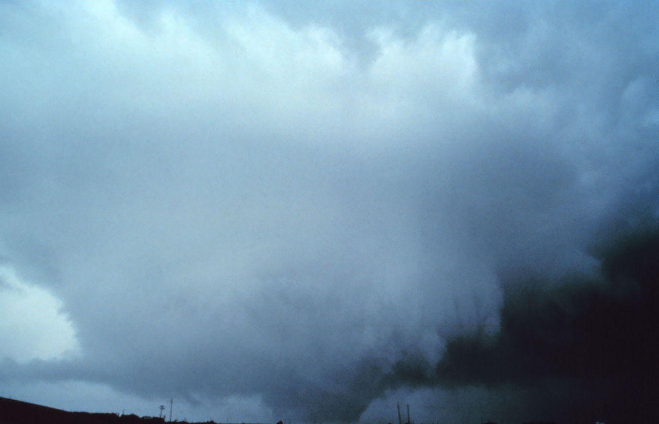 Shamrock Tornado