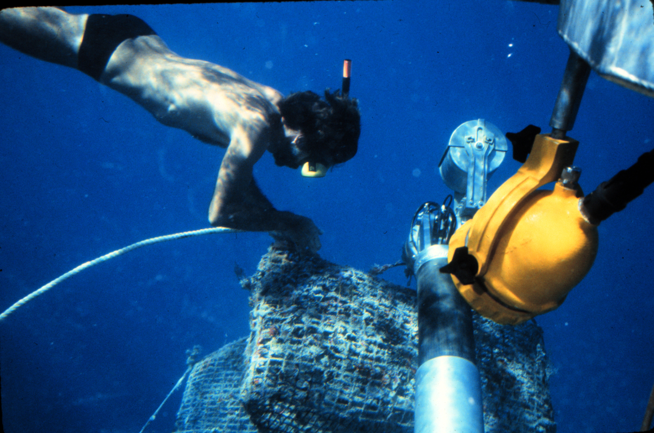 Snorkeler retrieves ghost traps from the grip of a submersible