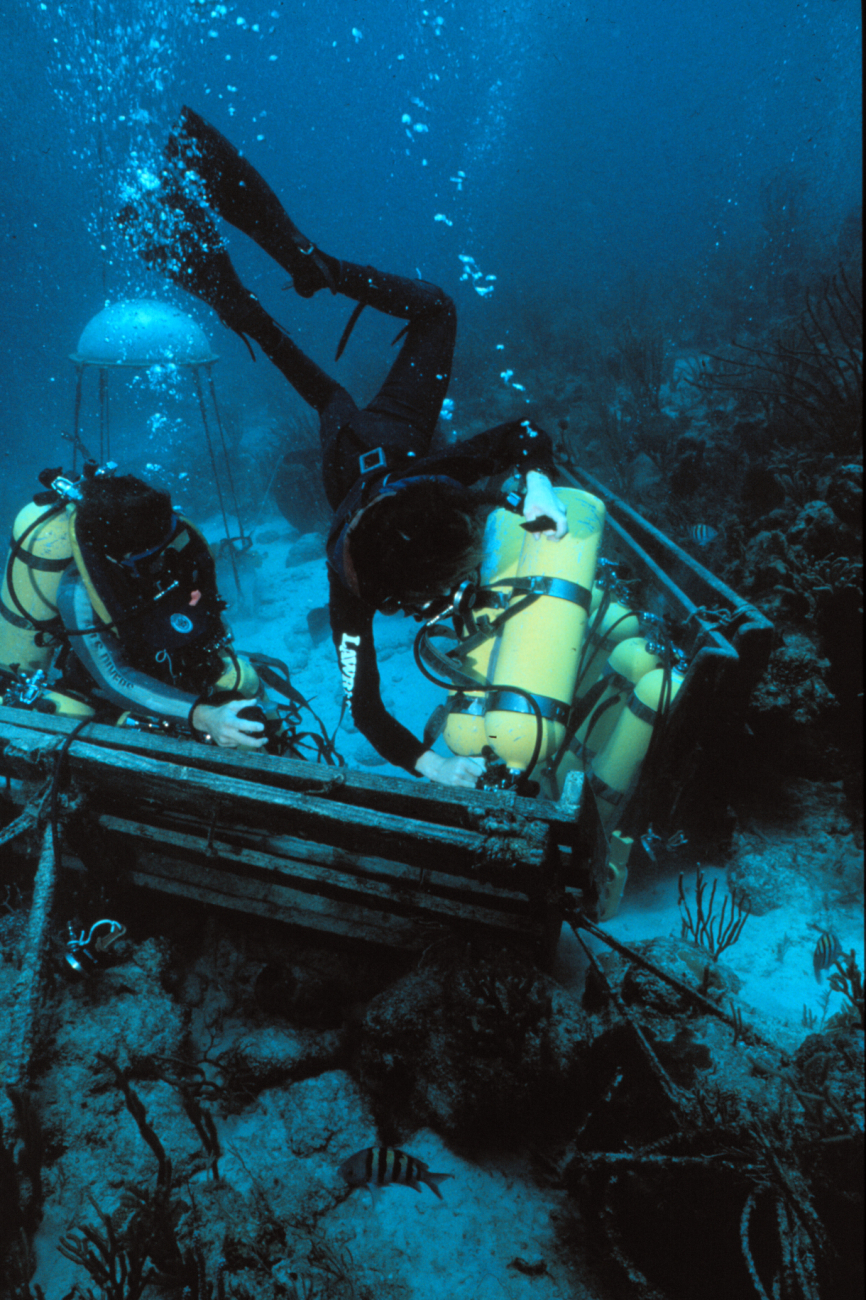 Aquanauts change out tanks near the Aquarius undersea laboratory