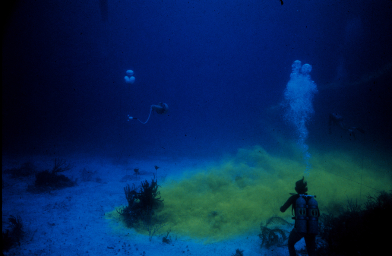 Dye released to trace near bottom flow over a coral reef ecosystem