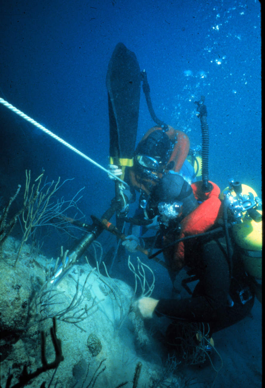 Divers are able to collect rock cores from vertical walls on a coral reef