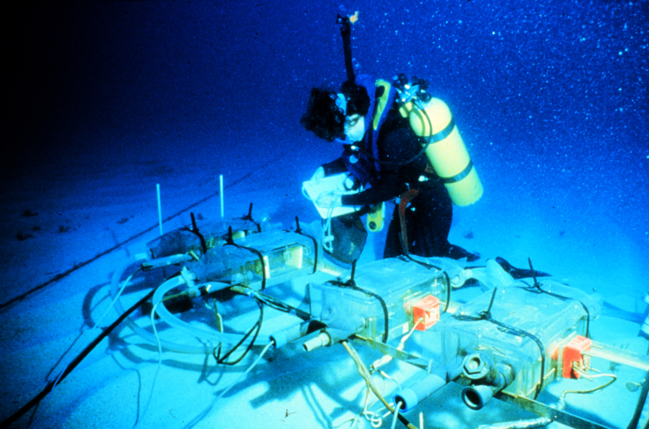AQUARIUS scientist adjusts coral feeding experiment controlled in habitat