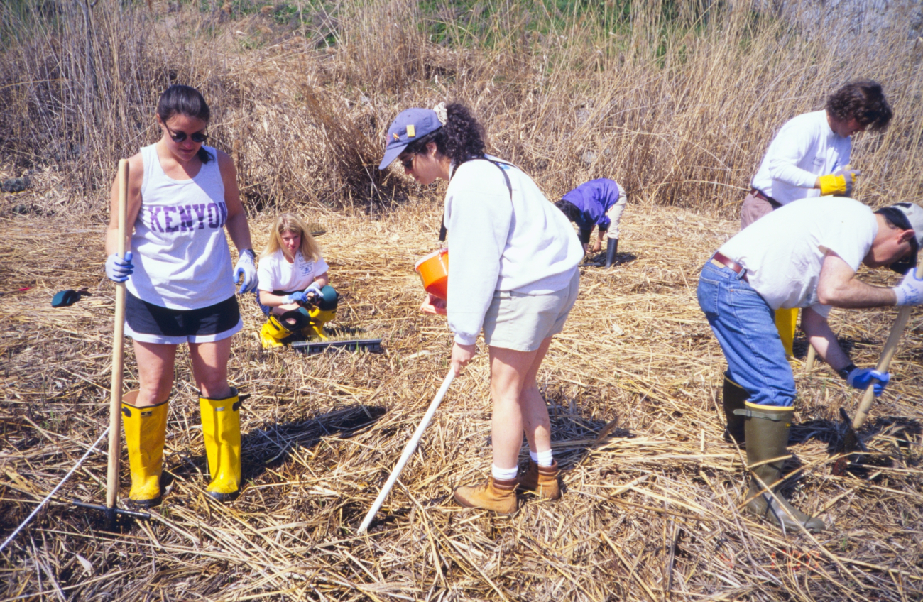 Volunteers prepare to plant at the site
